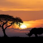 How to Choose the Right Hiking Shoes